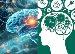 Trước khi có chữ viết, con người lưu giữ tri thức bằng cách nào?