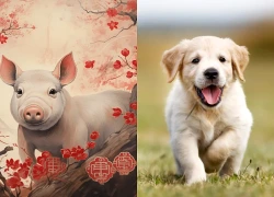Tử vi hôm nay, xem tử vi 12 con giáp hôm nay ngày 17/10/2026: Tuổi Mão công việc thuận lợi