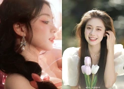 Tử vi thứ Bảy 17/10/2026 của 12 con giáp: Dần - Ngọ tiền bạc rủng rỉnh đầy túi, sự nghiệp thăng tiến, Mão - Thân tiền hao của mất, công việc trắc trở trăm bề