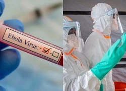 WHO nâng mức độ sẵn sàng ứng phó dịch bệnh Ebola tại 22 quốc gia trên ba châu lục