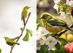 Số cuối ngày sinh Âm lịch của người có lộc tiền bạc: Hậu vận cực kỳ phú quý