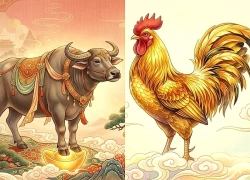 3 con giáp càng biết giữ tiền càng dễ khá giả, thu nhập chưa cao vẫn có của ăn của để