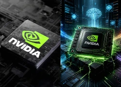 Amazon ra mắt công cụ phần mềm mới nhằm cạnh tranh với Nvidia trên thị trường AI