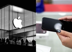 Apple đối mặt cuộc chiến pháp lý tại Anh