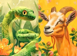 Bậc thầy phong thủy Trung Quốc dự đoán 3 con giáp tăng mạnh tài sản ròng đúng Rằm tháng 9 Âm lịch: Top 1 đã giàu lại càng giàu