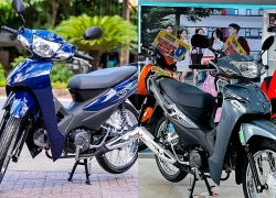 Bảng giá Honda Wave Alpha tháng 10/2026: Giá đại lý cao hơn tới 4,5 triệu đồng