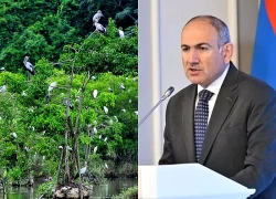 COP17 đánh giá tiến độ thực hiện mục tiêu đa dạng sinh học