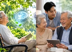 Người cao tuổi sống gần cây xanh có nguy cơ sa sút trí tuệ thấp hơn