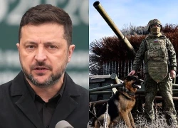 Ông Zelensky nêu kịch bản có thể khiến Ukraine gác lại tham vọng NATO