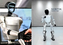 Robot hình người chế tạo từ điện thoại thông minh giá rẻ