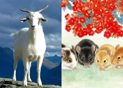 5 con giáp dễ được gia đình hỗ trợ mua nhà: Người đứng đầu có khả năng biến "bệ đỡ" thành khối tài sản đáng kể