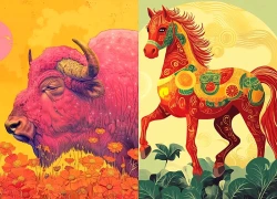 Tử vi tuần mới 19-25/10: Dậu vừa có tiền vừa có tình cảm, Ngọ chủ động sẽ gặt hái thành quả
