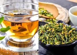 Uống nước lá đinh lăng hàng ngày, đây là điều cần đặc biệt lưu ý