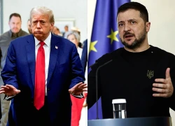 Vì sao ông Zelensky chấp nhận rủi ro, công khai phản ứng lại ông Trump?