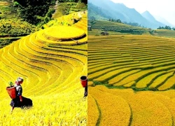 Việt Nam đứng thứ 4 trong 15 điểm đến dẫn đầu xu hướng du lịch mùa thu 2026