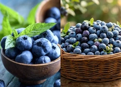 6 loại trái cây giàu hợp chất chống oxy hóa giúp bảo vệ tế bào