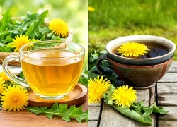 7 lợi ích tiềm năng của trà bồ công anh đối với sức khỏe