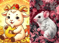 7 ngày cuối tháng 10, 3 tuổi công việc xuôi thuận, càng chăm chỉ càng nhiều tiền