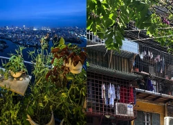 Ban công chung cư: Đẹp, độc hay tài lộc tuột mất vì sai phong thủy?