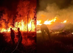 Cháy rừng tiếp tục hoành hành Indonesia