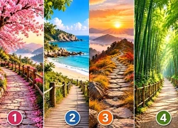 Chọn 1 con đường xem cơ hội nào sắp mở ra