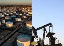 Giá dầu đi ngang khi đàm phán hòa bình Nga-Ukraine tiến triển