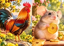 Từ đêm nay tới 31/10: Quý Nhân Chờ Sẵn, 3 tuổi có cơ hội Tăng Lương Thưởng