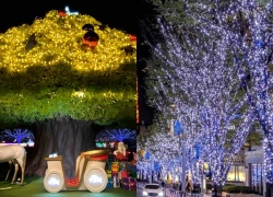 Lễ hội ánh sáng Tokyo Mega Illumi trở lại, thắp sáng mùa đông Nhật Bản