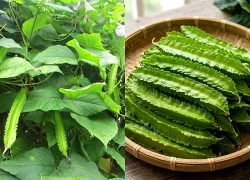 Lợi ích sức khỏe của đậu rồng