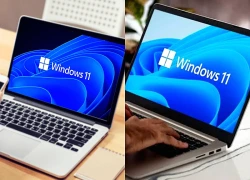 Microsoft cải thiện hiệu suất Windows 11 trên máy tính RAM 8 GB
