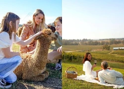 Một ngày rời Sydney khám phá thiên nhiên New South Wales