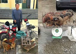 Người đàn ông trộm 11 con gà, phi xe điện bỏ chạy khi gặp công an