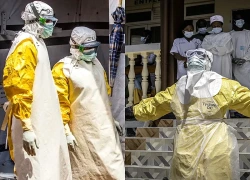 Phát hiện mối liên hệ di truyền đầu tiên giữa các đợt bùng phát Ebola tại châu Phi