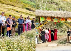 Phố Bảng - điểm hẹn mùa hoa Tam giác mạch