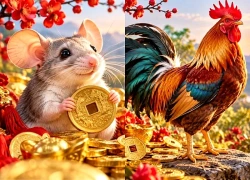 Từ 25-31/10: 3 tuổi Gặp Cơ Hội Vàng, Tiền Tài Ập Tới