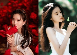 Tử vi thứ Bảy 24/10/2026 của 12 con giáp: Dần - Ngọ sự nghiệp thăng tiến, tiền bạc căng đầy ví, Mão - Thân công việc trắc trở, tài lộc xuống dốc không ngờ