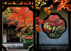 Ngày sinh Âm lịch của người có phúc phần, càng trưởng thành càng dễ gặp may mắn