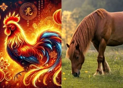 3 con giáp nghênh đón quý nhân, đổi vận bất ngờ trong 45 ngày tới