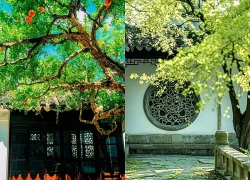 Ngày sinh Âm lịch của người có cuộc đời thành công xuất sắc, hậu vận an nhàn