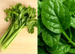 5 loại rau quen thuộc giúp hỗ trợ nhuận tràng, cải thiện tình trạng táo bón hiệu quả