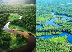 Cảnh báo về hiểm họa mất nước ngọt tại khu vực rừng Amazon