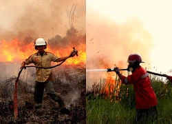 Cháy rừng đe dọa di sản tranh hang động cổ nhất thế giới tại Indonesia
