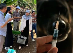 Đồng Nai khẩn trương xử lý ổ dịch dại sau khi phát hiện 1 trường hợp tử vong