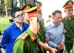 Hình ảnh Shark Bình xuất hiện tại tòa
