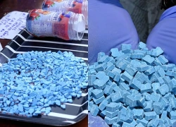 Indonesia: Thu giữ hơn 1,2 tấn ma túy trong chiến dịch truy quét lớn
