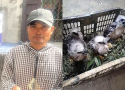 Khởi tố người đàn ông mua bán 36 cá thể chim hoang dã ở Ninh Bình
