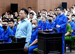 Luật sư có thể trao đổi trực tiếp với Mr Pips, Shark Bình ngay tại tòa