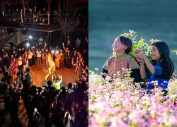 Lũng Cú kín phòng lưu trú trước ngày hội hoa tam giác mạch