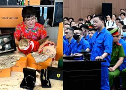 Mr Pips, Shark Bình hầu tòa: Đằng sau những con số nhấp nháy xanh - đỏ