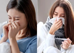 Nhận diện các loại cúm mùa thường gặp ở người